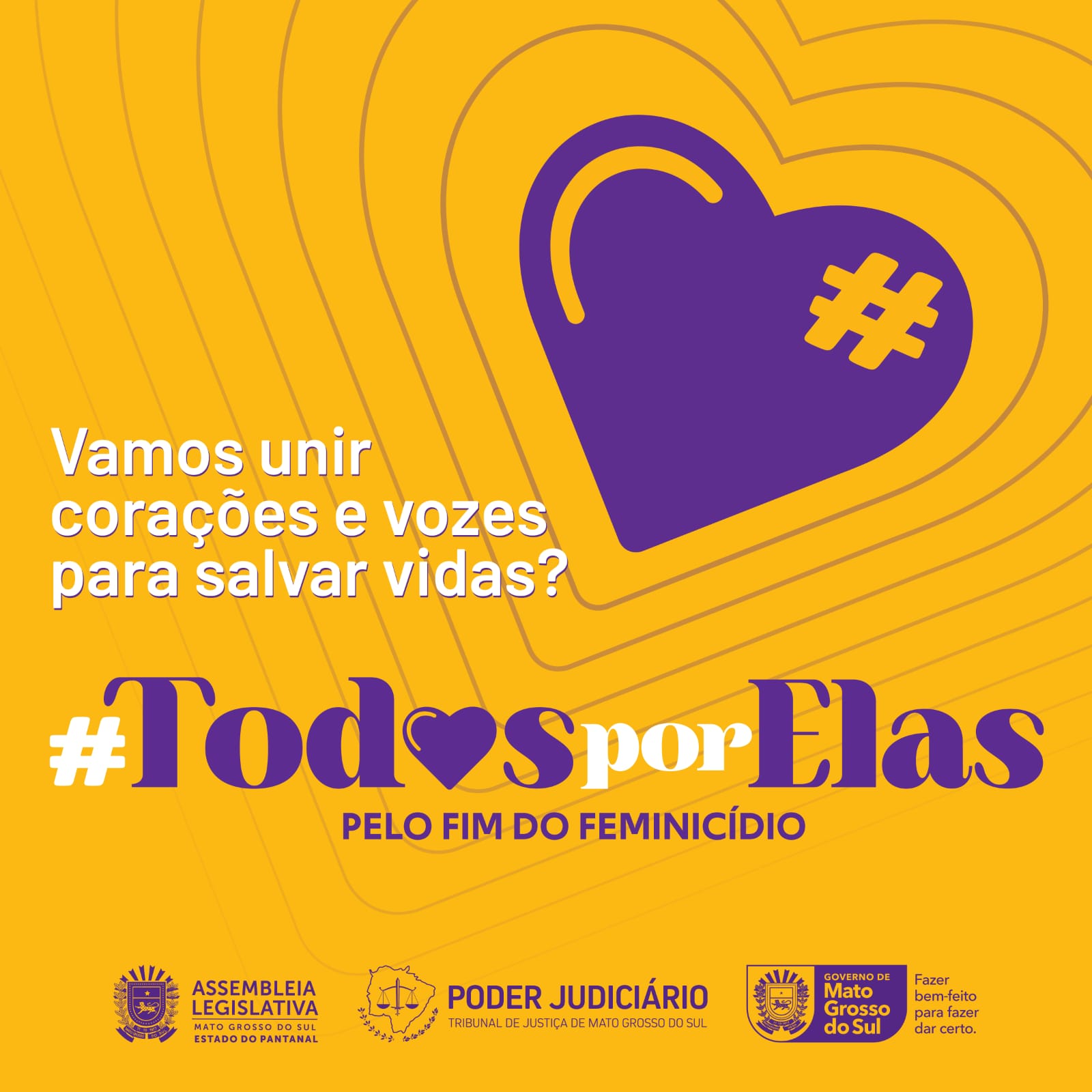 WhatsApp Image 2026-02-19 at 09.31.21