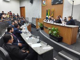 Câmara de Terenos aprova projeto sobre fibromialgia e encaminha novas propostas para análise