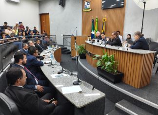 Câmara de Terenos aprova projeto sobre fibromialgia e encaminha novas propostas para análise