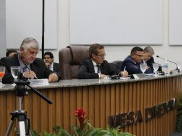 Câmara de Terenos debate problemas no fornecimento de energia e investimentos na saúde