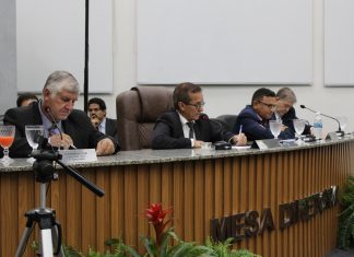 Câmara de Terenos debate problemas no fornecimento de energia e investimentos na saúde