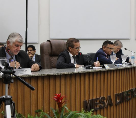 Câmara de Terenos debate problemas no fornecimento de energia e investimentos na saúde
